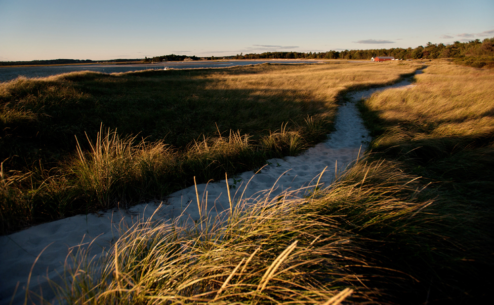 New England Beach Path